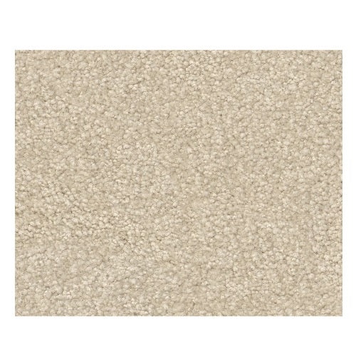 Qs529 Glacier Nylon Carpet - Textured