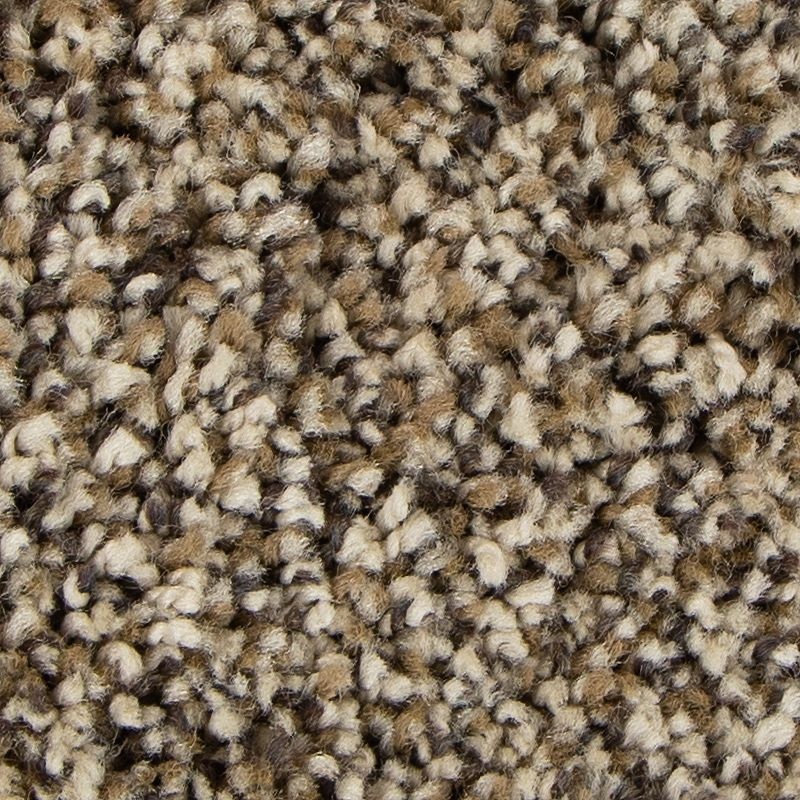 Soft Intrigue Ii Brown Sugar Polyester Carpet - Textured