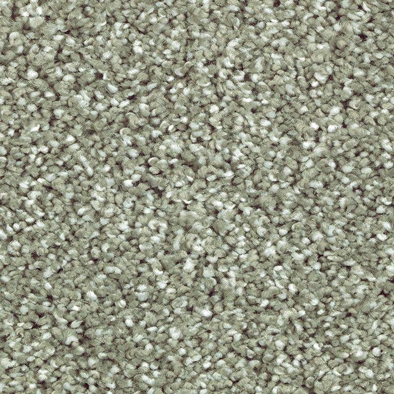 Stonington Manor Ii Garden Club Triexta Carpet