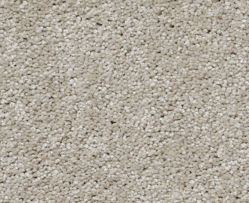 Clearance Sale! Roll Special Xv998 All Natural Nylon Carpet - Pattern