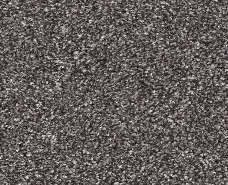 Yes You Can Ada 1 15 Shadow Polyester Carpet - Textured