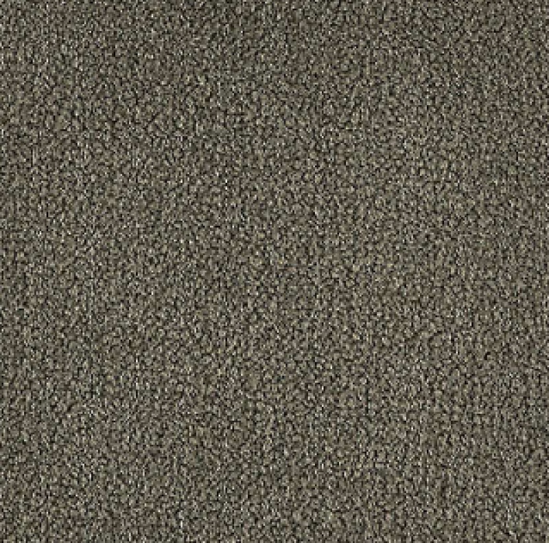 Influencer 30 Starless Night Nylon Carpet - Textured