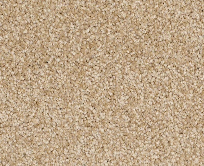 Anso Open Ii (S) Oakwood Nylon Carpet - Textured