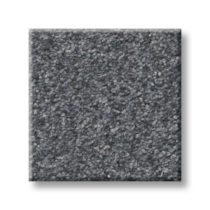 Pet Perfect You Got This II Reflection Carpet