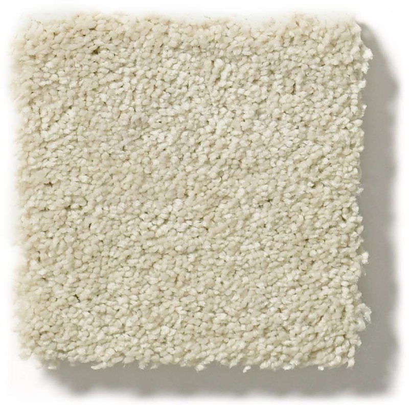 Pet Perfect Plus Basic Rules Linen Polyester Carpet – Textured