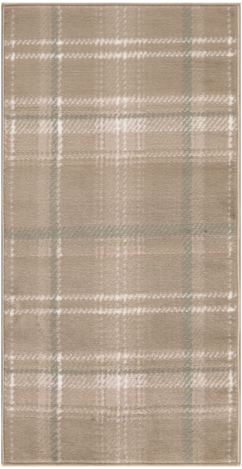 Taupe Polypropylene Farmhouse Area Rug 2 Ft x 4 Ft