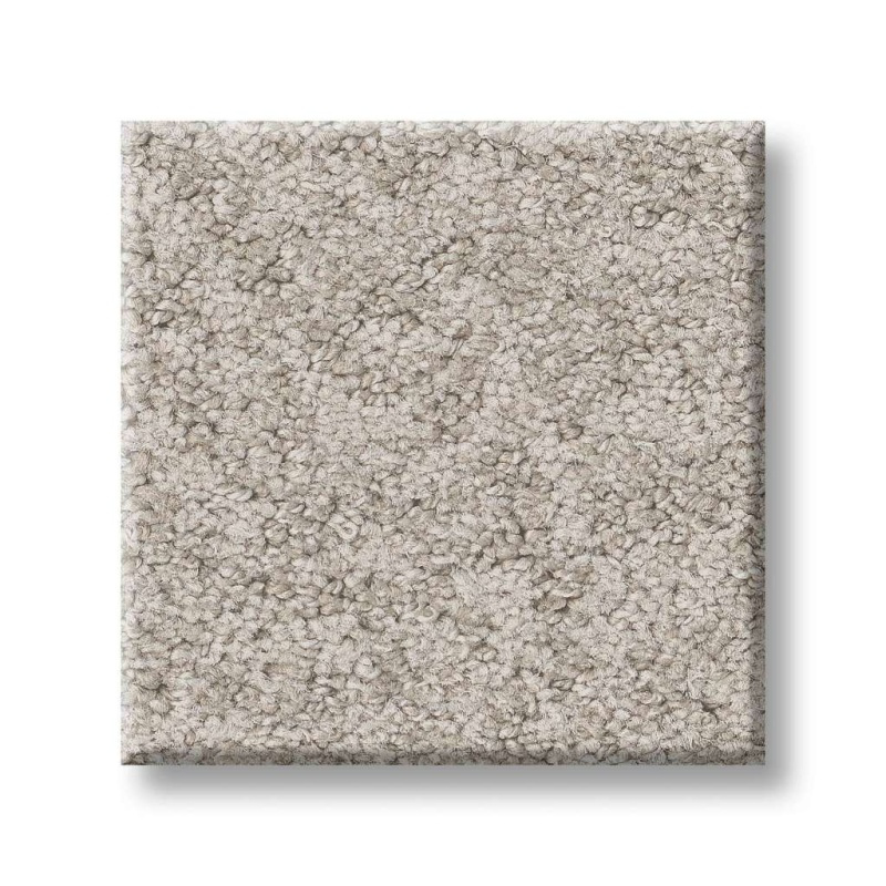Foundations Alluring Canvas Baltic Stone Nylon Carpet