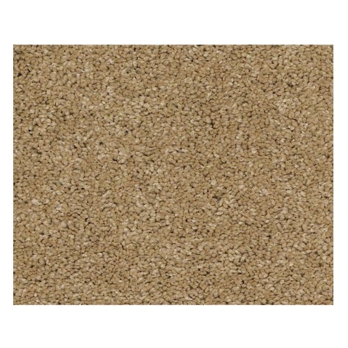 Simply Soft Iii Navajo Nylon Carpet - Textured