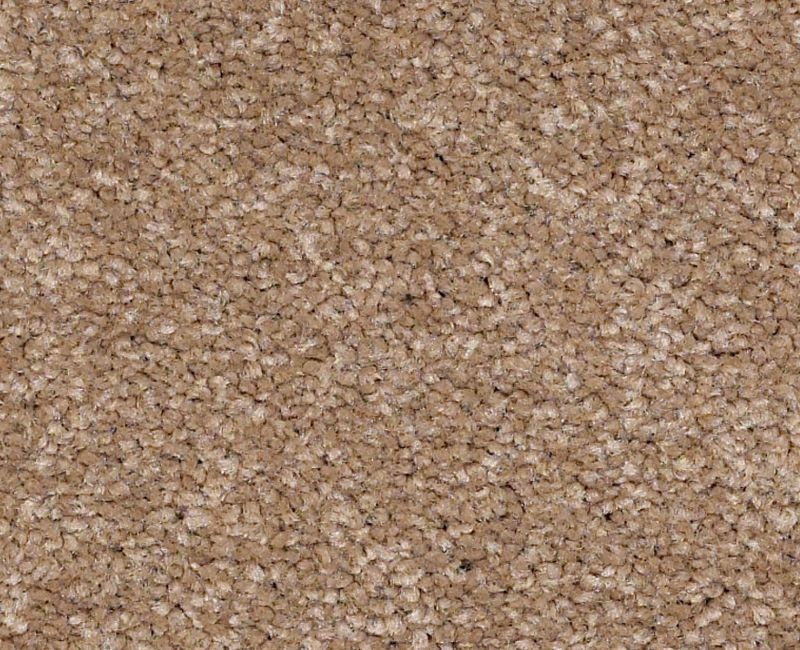 Bright Spirit Ii 15' Mojave Nylon Carpet - Textured