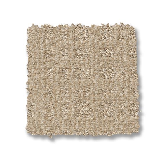 Pet Perfect Purrsuasion Blonde Nylon Carpet - Pattern
