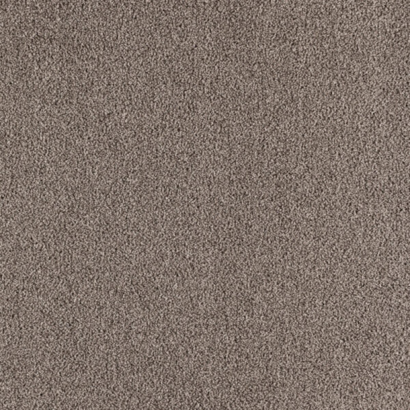 Paramount Stoney Peak Polypropylene Carpet - Textured