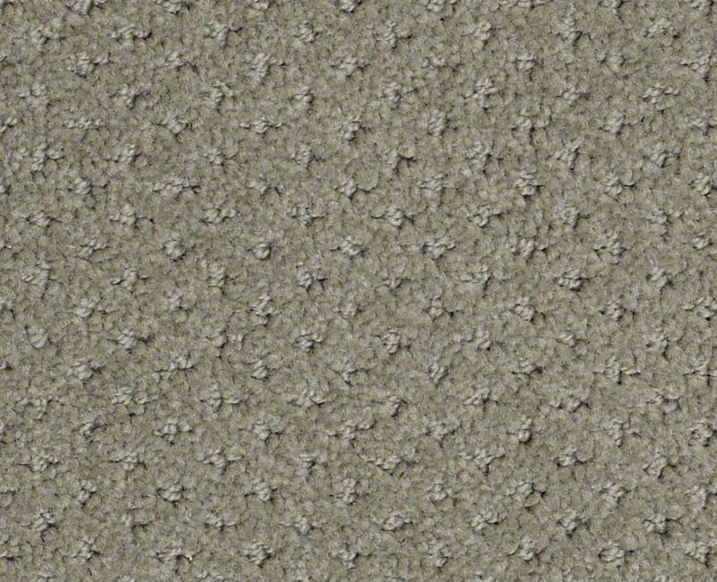 Gentle PV Silver Sage Nylon Carpet