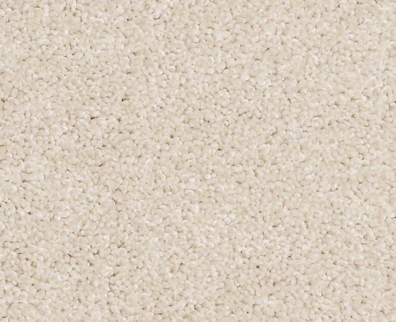 Always On Time Sentimental Nylon Carpet - Textured
