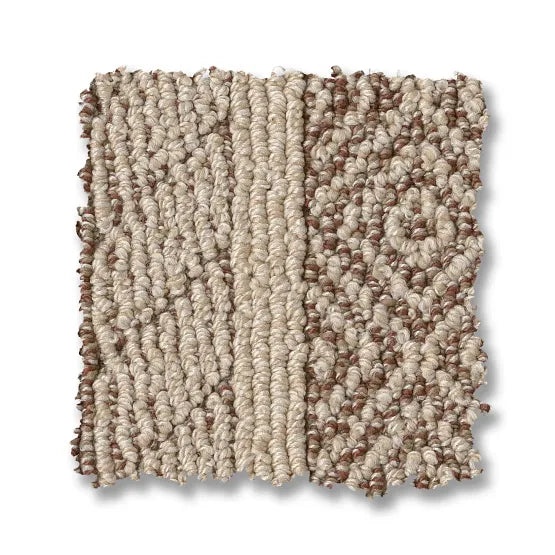 Pet Perfect Speak Russet Nylon Carpet - Loop