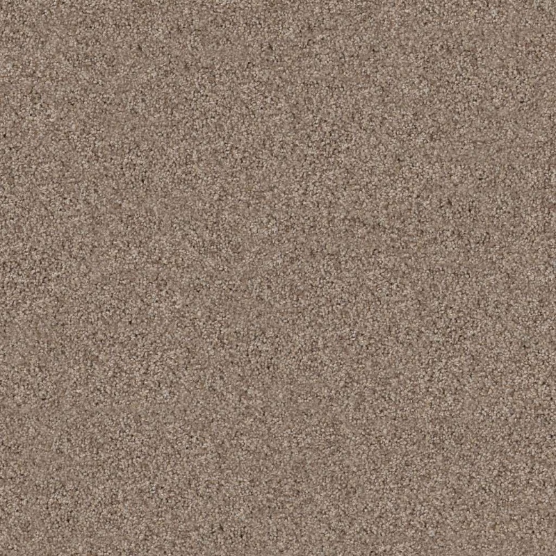 Foundations Live On Comfort Hillcrest Tan Nylon Carpet - Textured