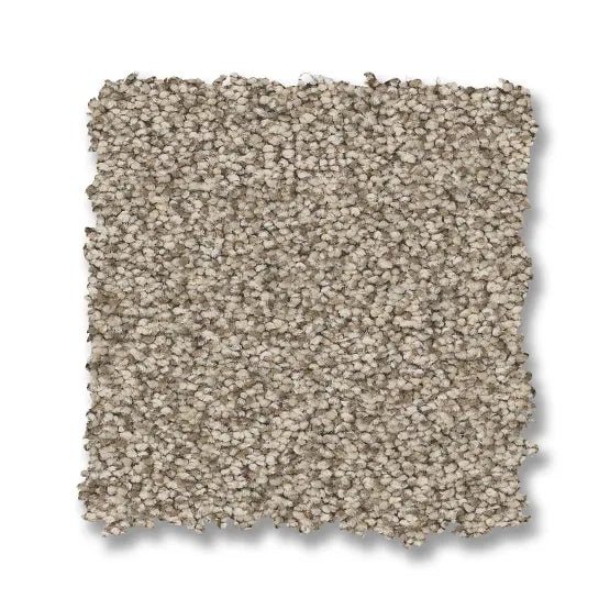 Somerset White Mocha Nylon Carpet - Textured