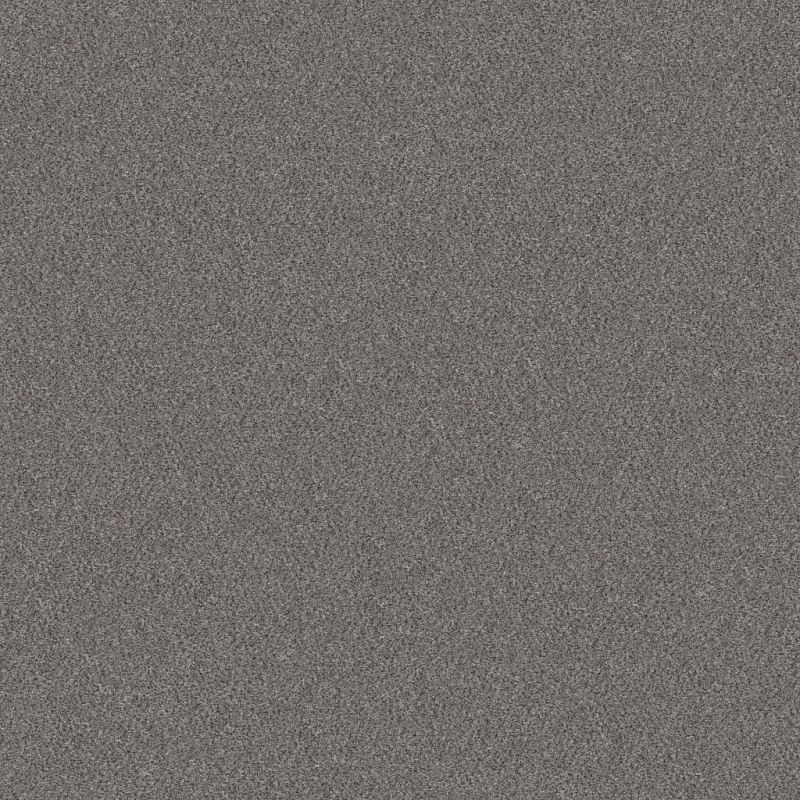 Simply The Best Without Limits Iii Silver Spoon Polyester Carpet - Textured