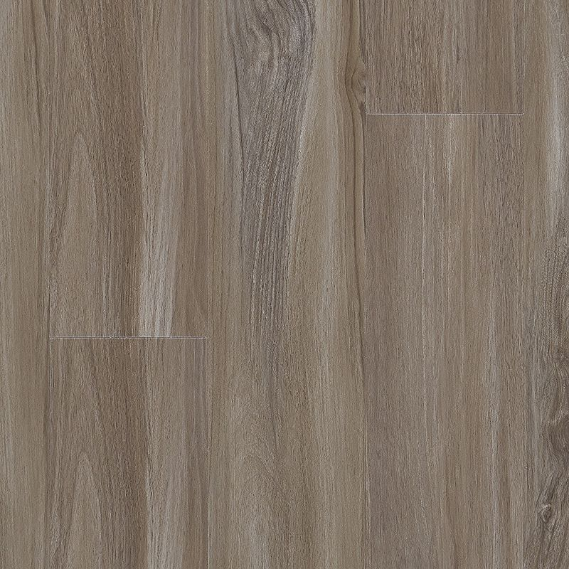 Explorer's Cove Dolphin Rigid Luxury Vinyl Plank Flooring