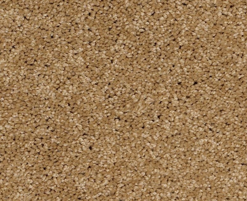 Playa Blanca Honey Pot Nylon Carpet - Textured