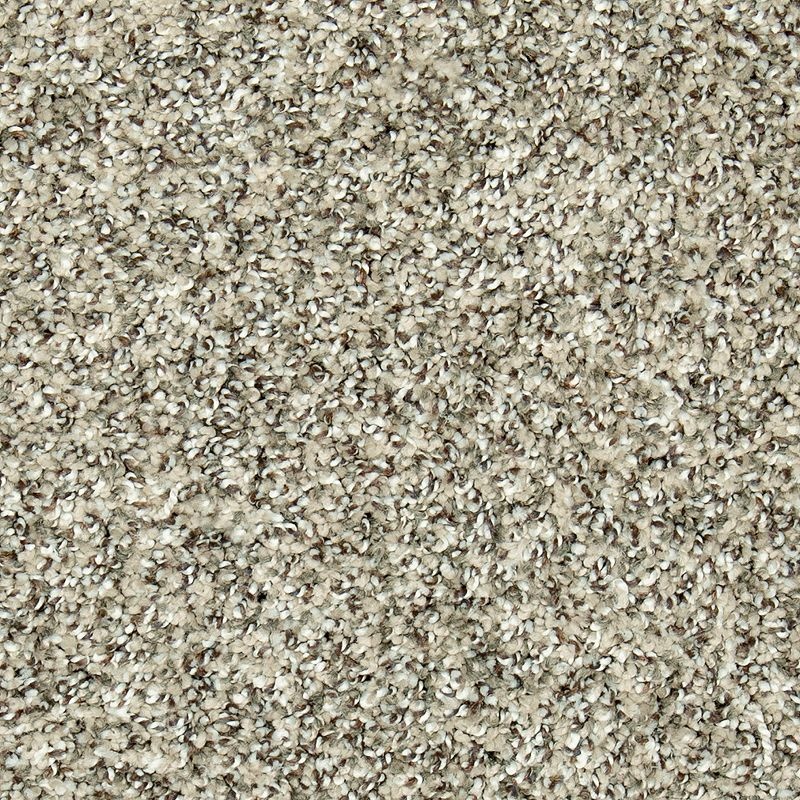 Natural Opulence I Haven Triexta Carpet - Textured