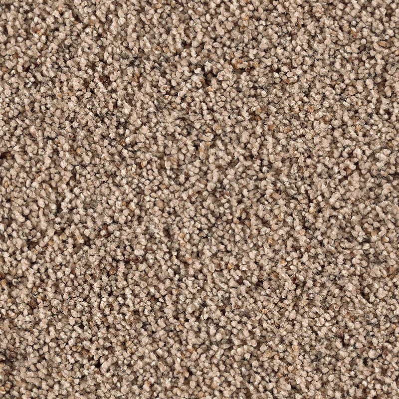 Naturally Soft Ii Cliffside Polyester Carpet - Textured