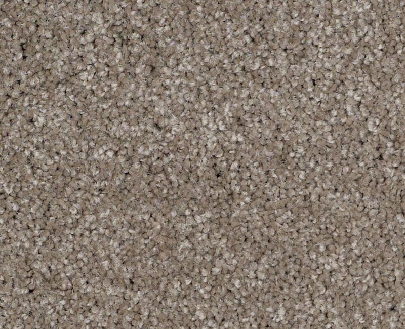 Anso Open Iii (S) Ashen Nylon Carpet - Textured