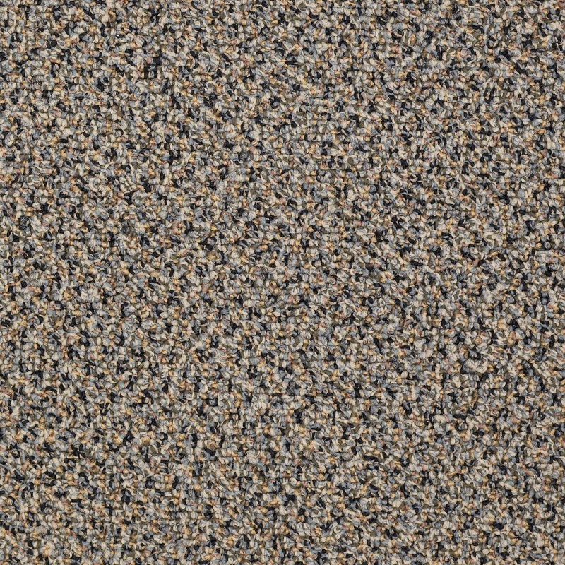 Loud & Clear Speak Easy Soft Approach Nylon Carpet - Textured