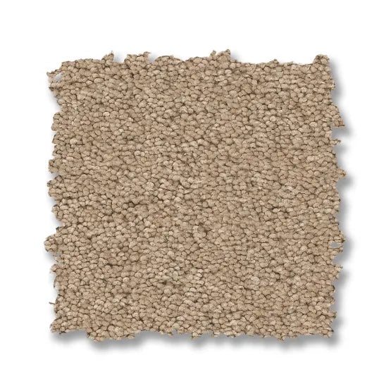 Enduring Charm Brulee Nylon Carpet - Textured
