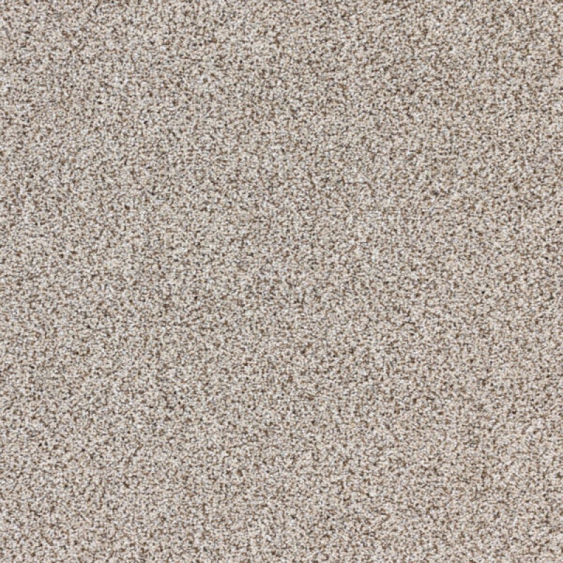 Intrigue Hypnotic Polypropylene Carpet - Textured