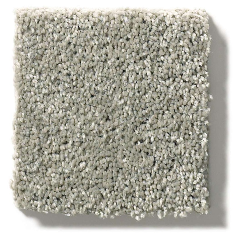 Pet Perfect Plus Basic Rules Flax Polyester Carpet - Textured