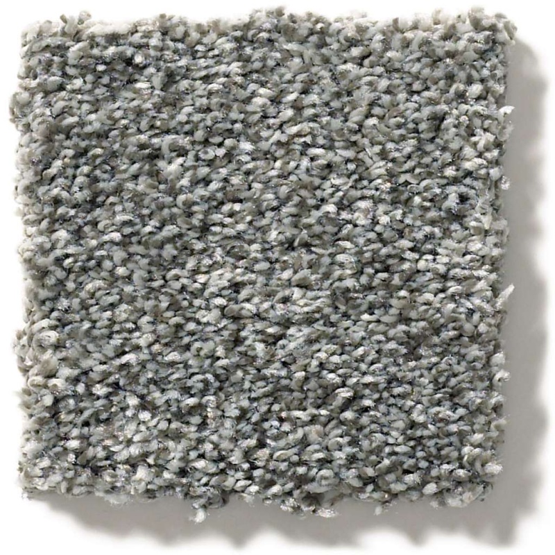 Simply The Best All Over It Ii Sparrow Polyester Carpet - Textured