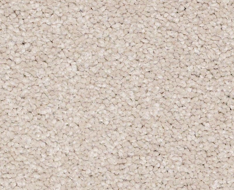 Bright Spirit Ii 15' Oatmeal Nylon Carpet - Textured