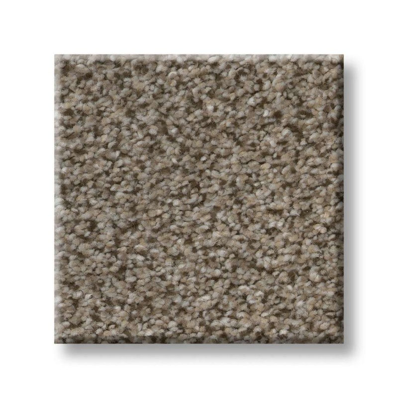 Trusplendor Truffle Polyester Carpet - Textured