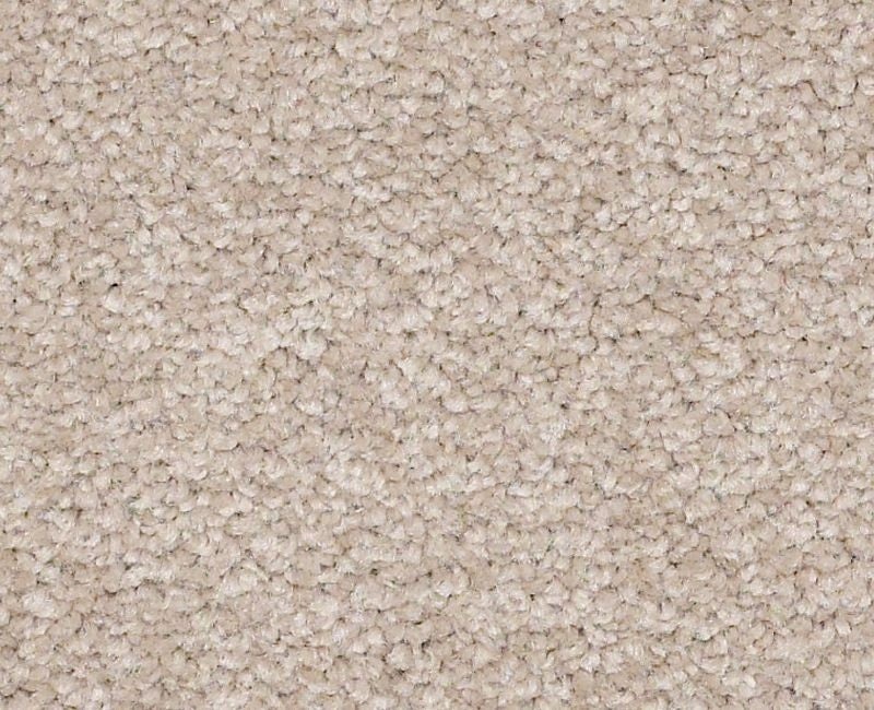 Qs162 15' Soft Shadow Nylon Carpet - Textured