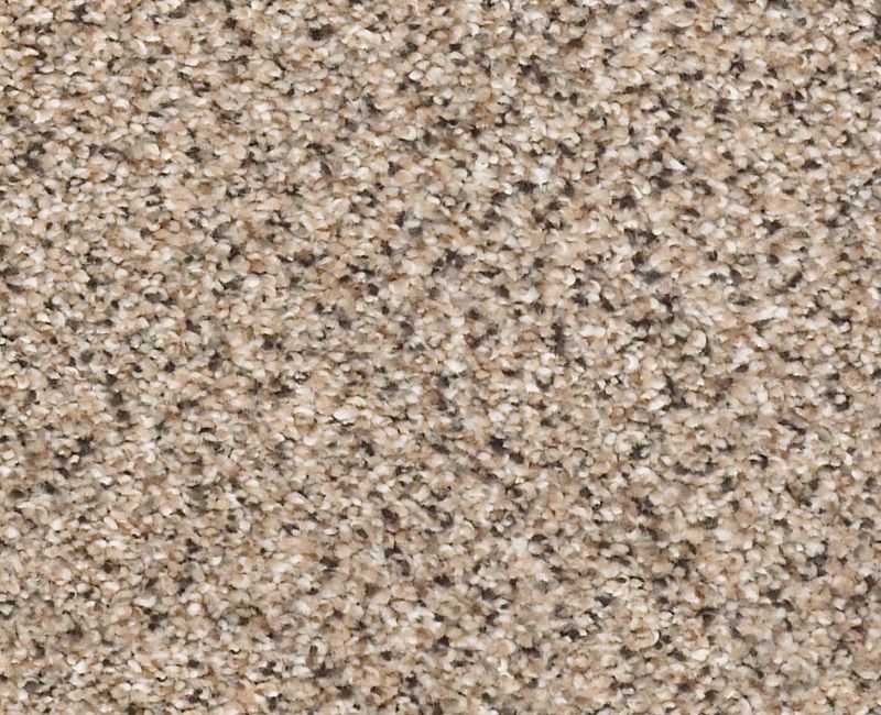 Graceful Texture Accent Midtown Nylon Carpet