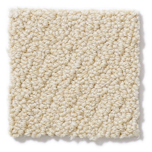 Personal Style Mimosa Nylon Carpet - Loop
