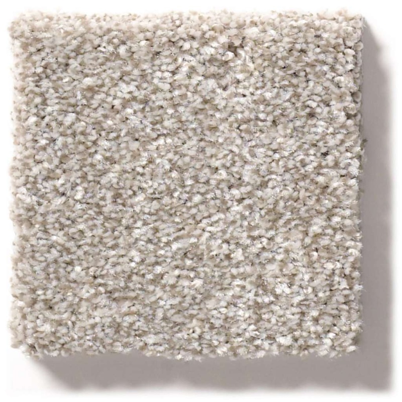 Simply The Best Make It Mine I Winter Dunes Polyester Carpet - Textured