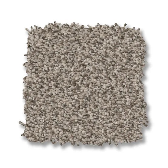 Avalon Bay Pashmina Nylon Carpet - Textured
