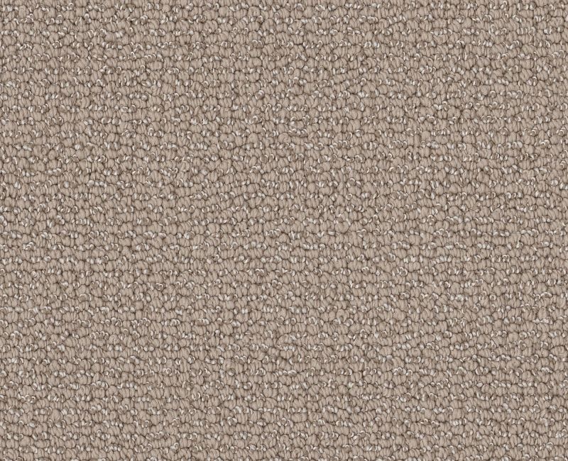 Devious Look Perfect Taupe Textured Polyester Carpet