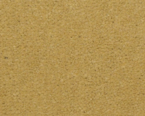 Emphatic II 30 Sunflower Nylon Carpet - Textured
