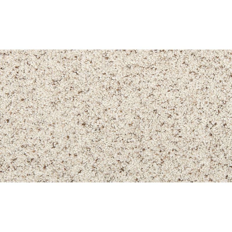 Delightful Journey Ii Silver Dollar Nylon Carpet - Textured