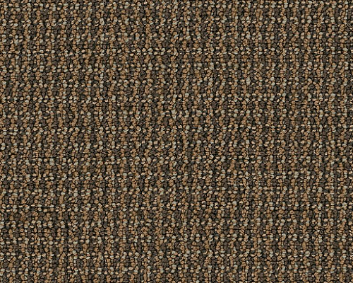 Dateline Today Exclusive Nylon Carpet - Loop