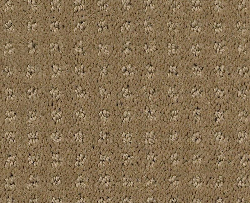 My Style Pattern Cappuccino Nylon Carpet - Pattern