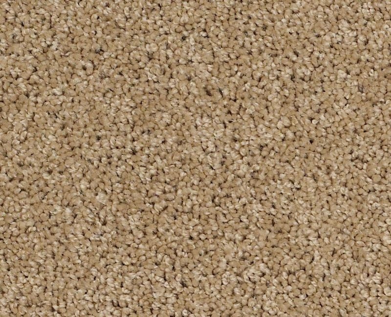 Orlando Pv Natural Wood Nylon Carpet - Textured
