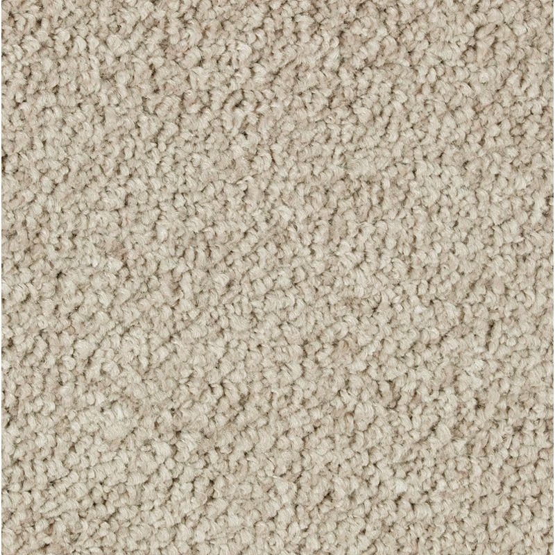 Exquisite Attraction Joyful Prelude Triexta Carpet - Textured