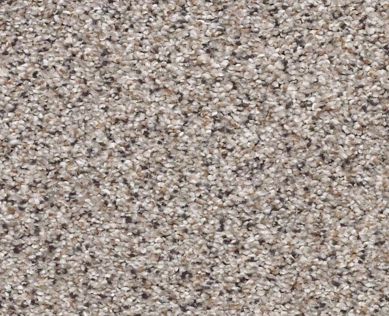 Color Express Accent Ii Cold Springs Nylon Carpet - Loop