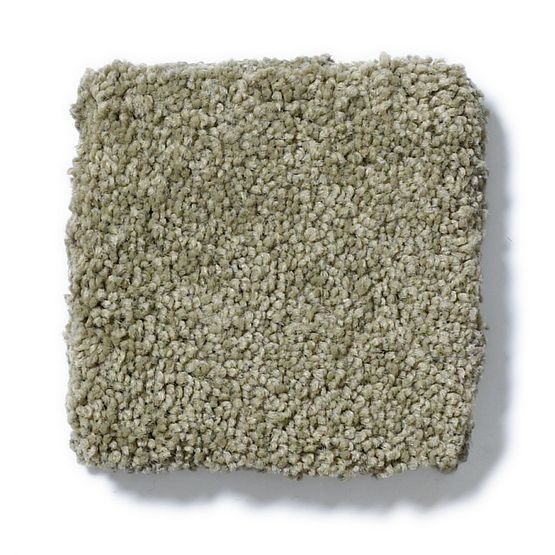 Pet Perfect Pawparazzi Ii Dry Sage Nylon Carpet - Textured