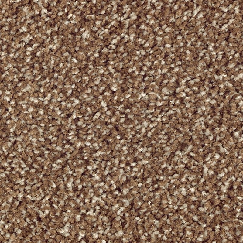 Natural Refinement I Cat Tail Triexta Carpet - Textured