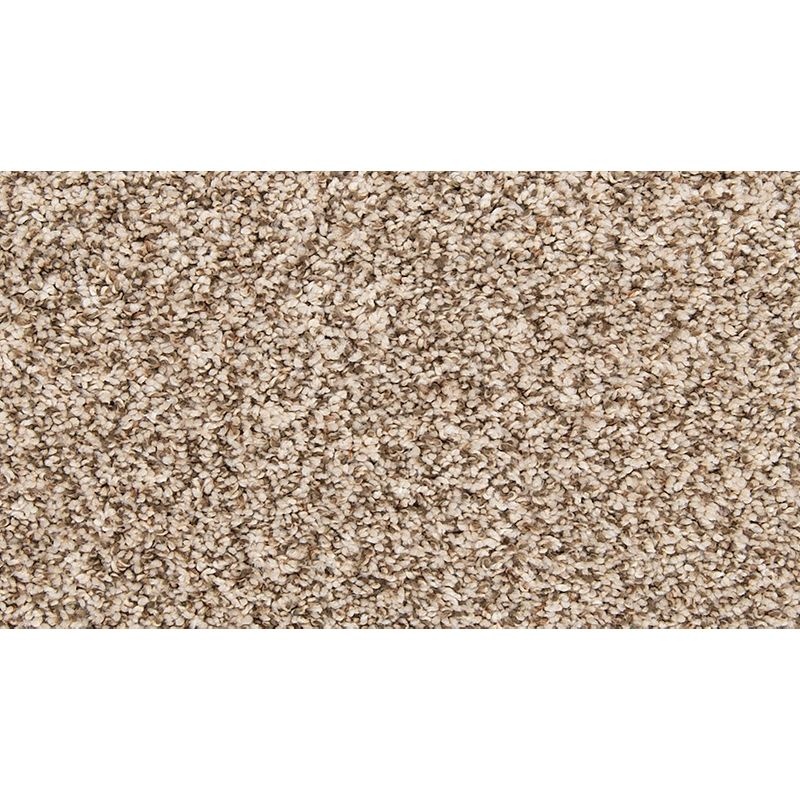 Color Classics Ii Whirlwind Polyester Carpet - Textured