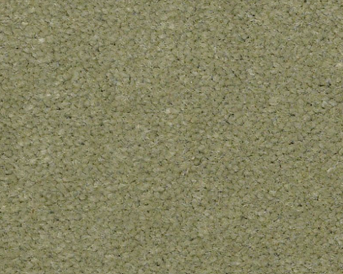 Emphatic Ii 36 Island Green Nylon Carpet - Textured